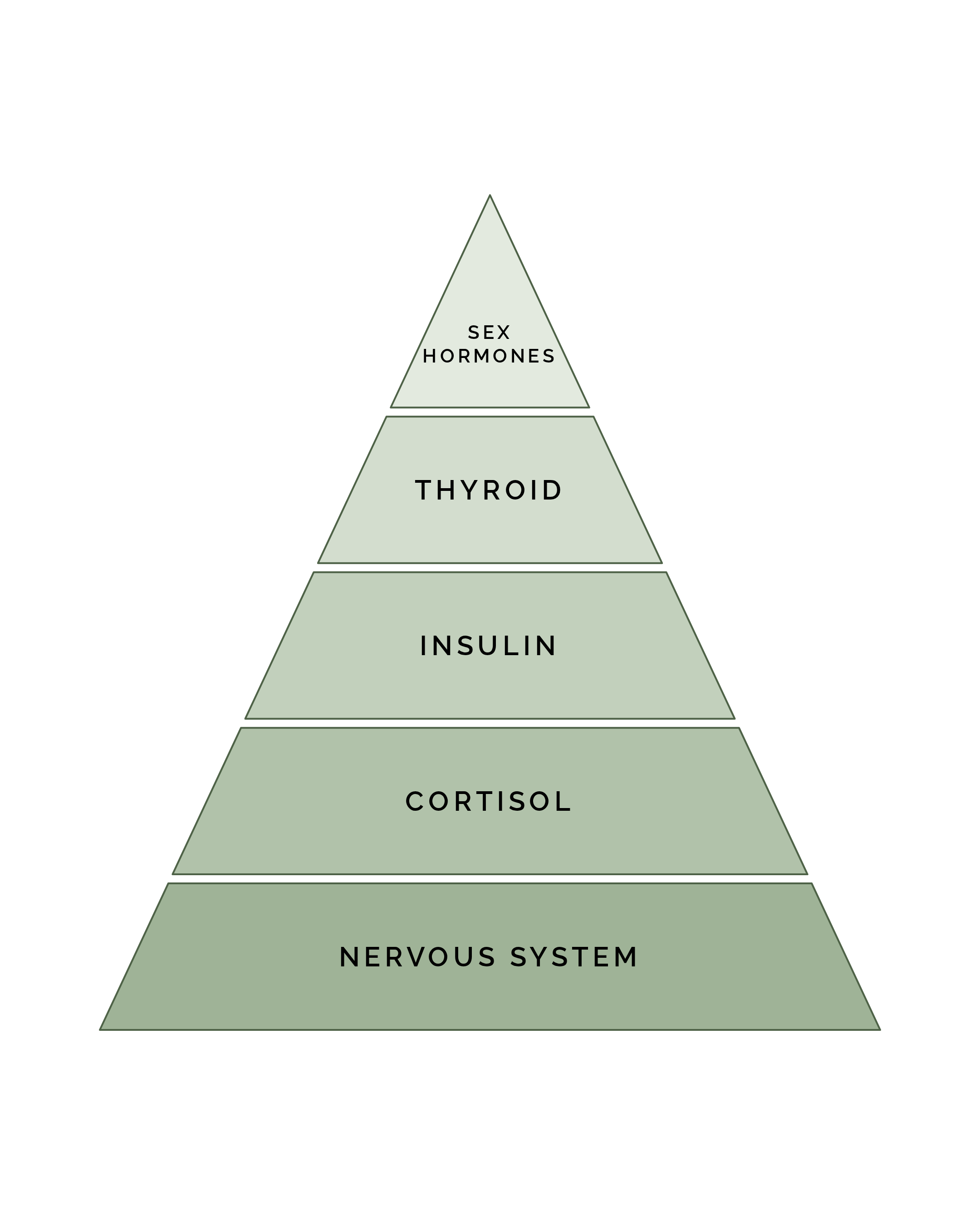 The Hormone Hierarchy, a five-level framework