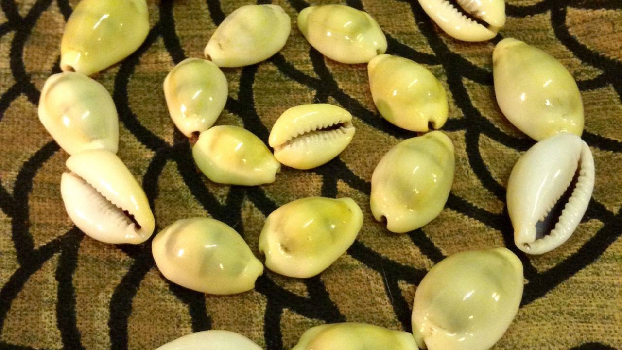 Spiritual Consultation cowrie shells