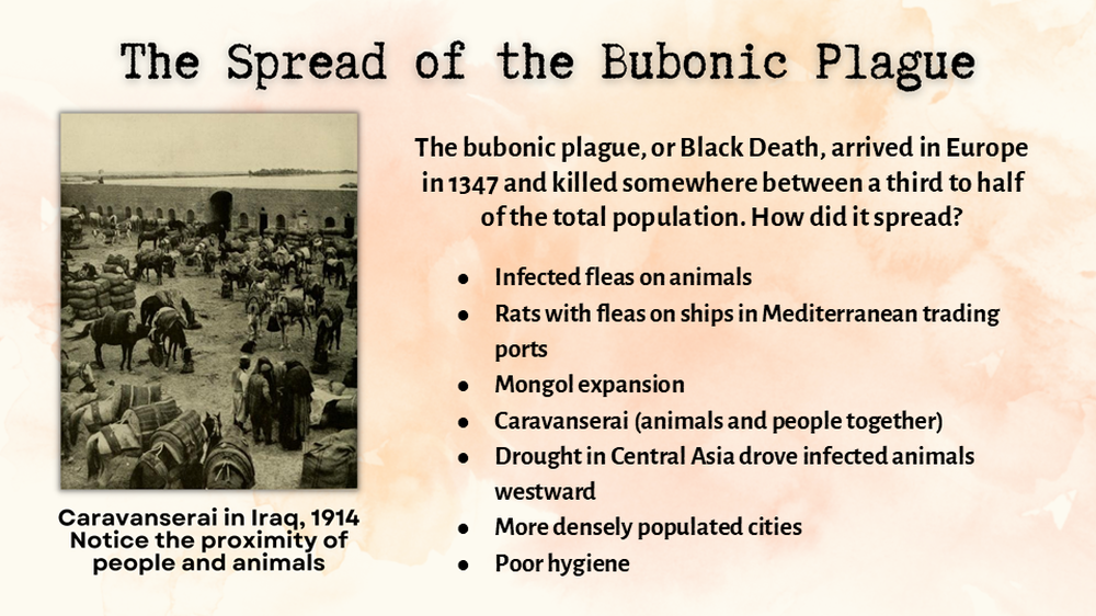 The lecture slide on the spread of the bubonic plague, with the seven contributing factors