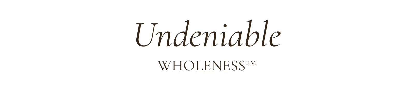 Footer Logo