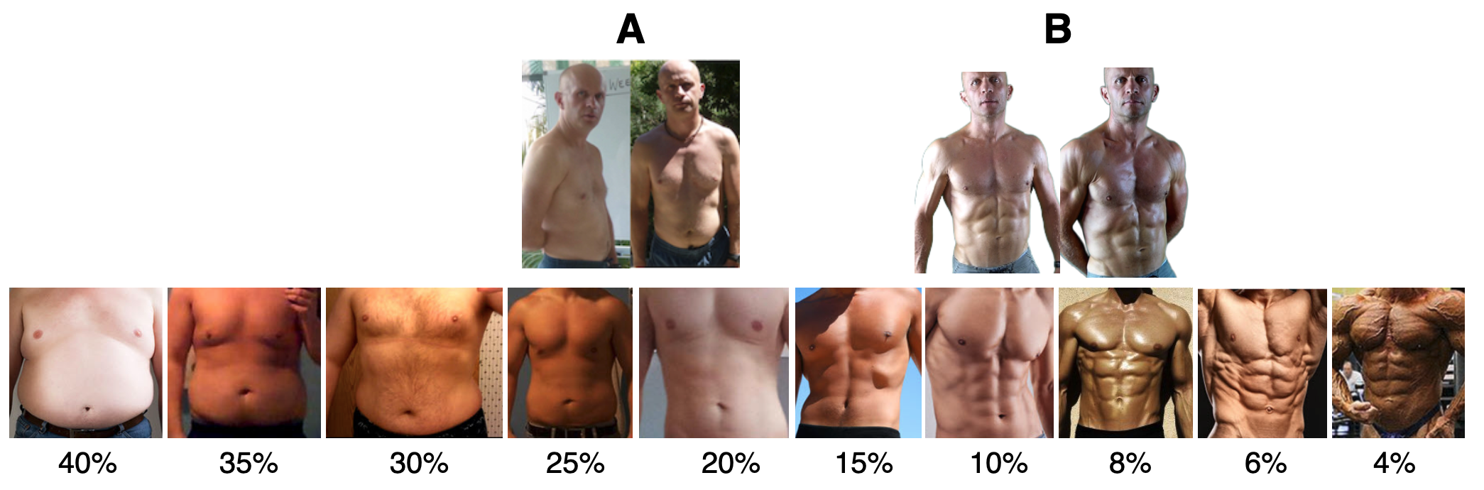A to B — Clive's starting point at 21% body fat and target at 9%, shown above a body fat percentage spectrum from 40% to 4%