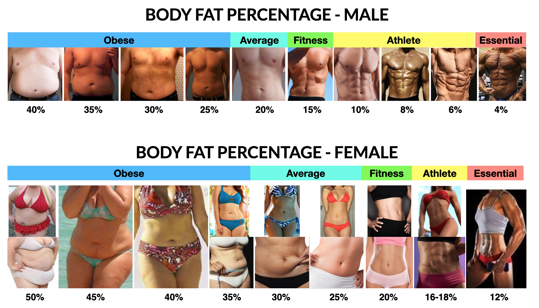 Body fat percentage reference chart for male and female, ranging from obese to essential fat, with photos at each level