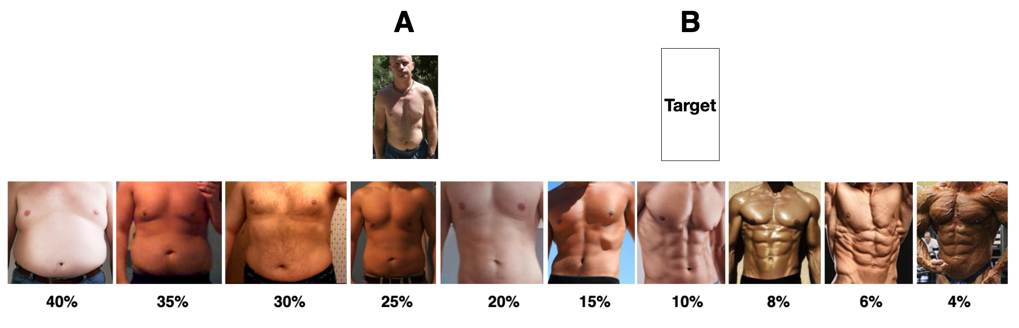 A to B diagram with your photo at point A and a blank Target box at point B, above the body fat percentage spectrum