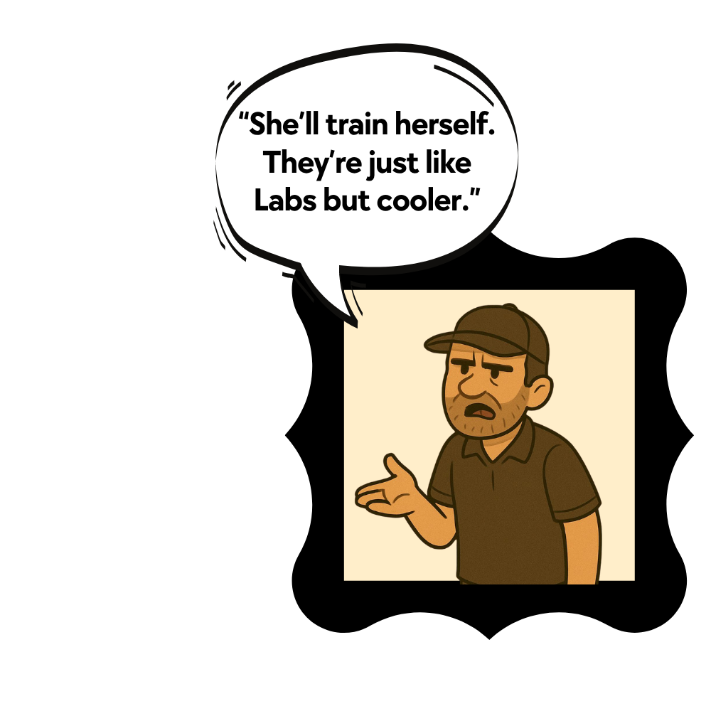 Cartoon breeder telling Mike that a Black Russian Terrier puppy will train herself and is “like a Lab, but cooler.”