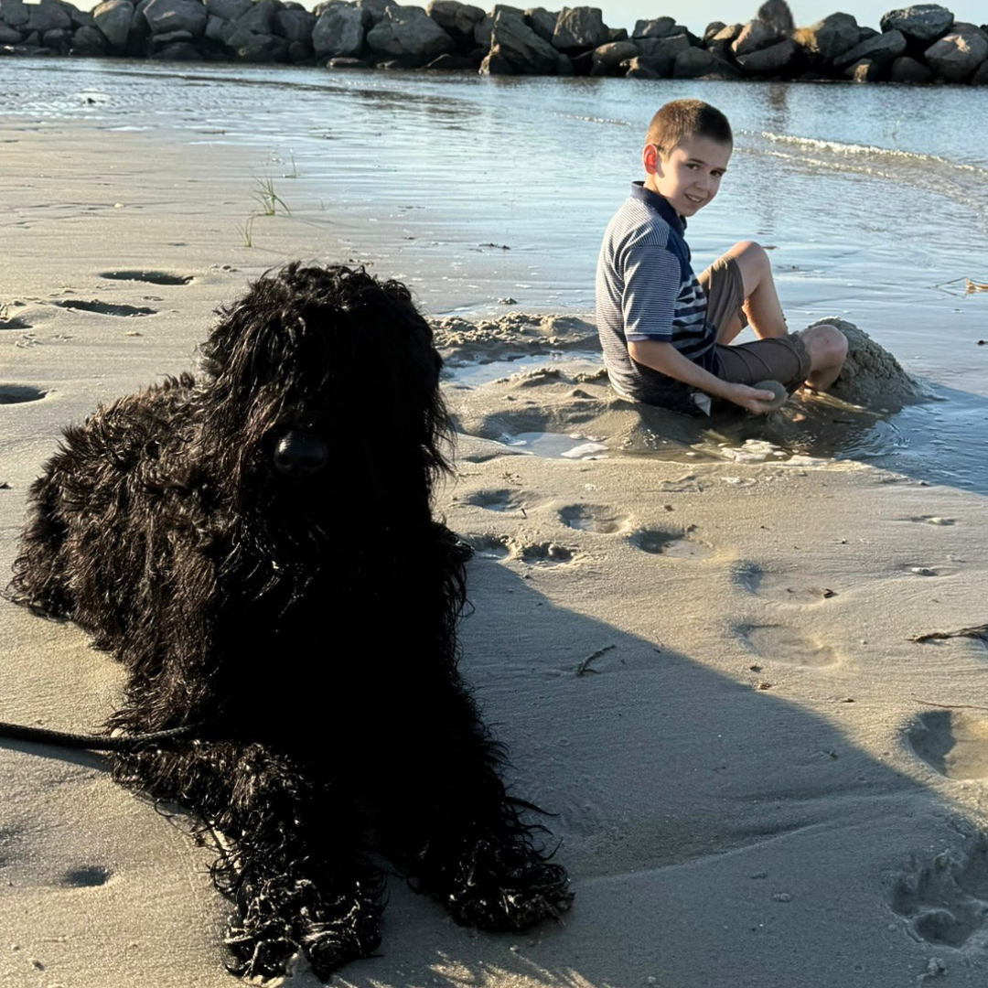 Zhanna, a Black Russian Terrier, lies near Brittani’s son while watching over him on the beach.