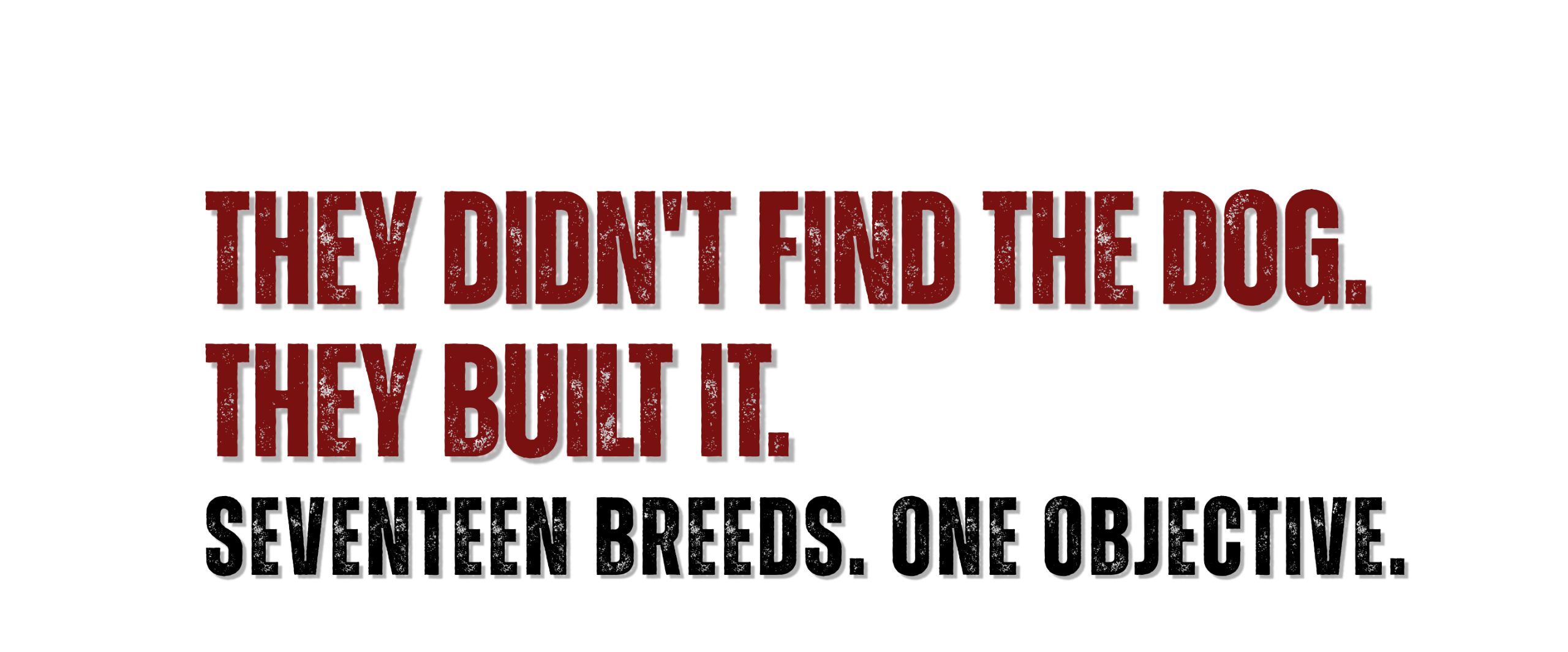 Black Russian Terrier breed history graphic reading, ‘They didn’t find the dog. They built it. Seventeen breeds. One objective.