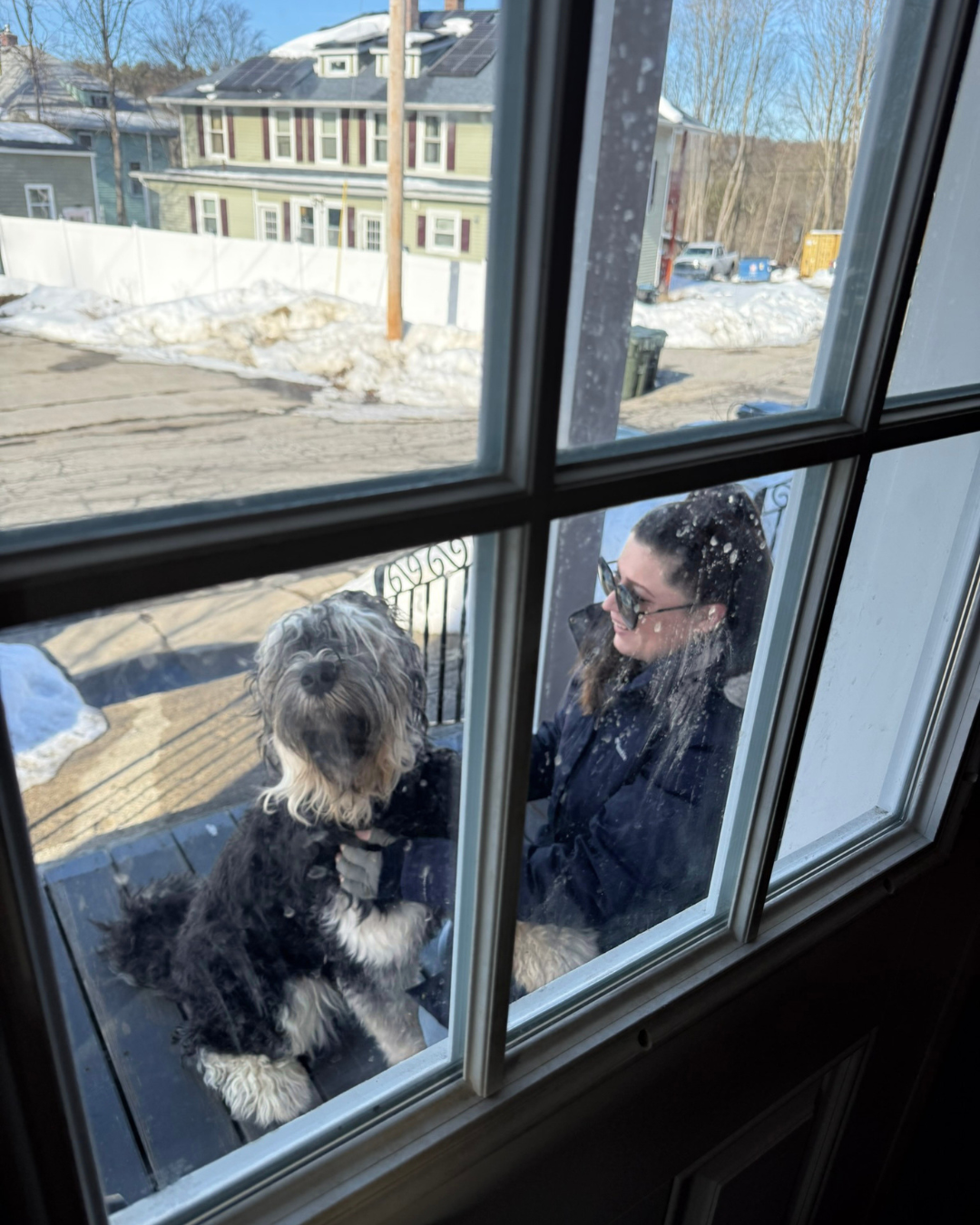 Zahkar, a Black Russian Terrier, standing on the porch with a visitor during an introduction.