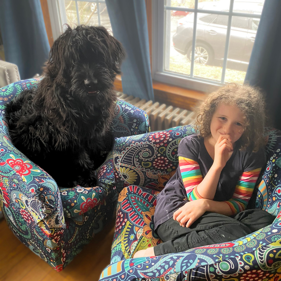 Zhanna, a Black Russian Terrier, resting closely beside a toddler reading a book at home.