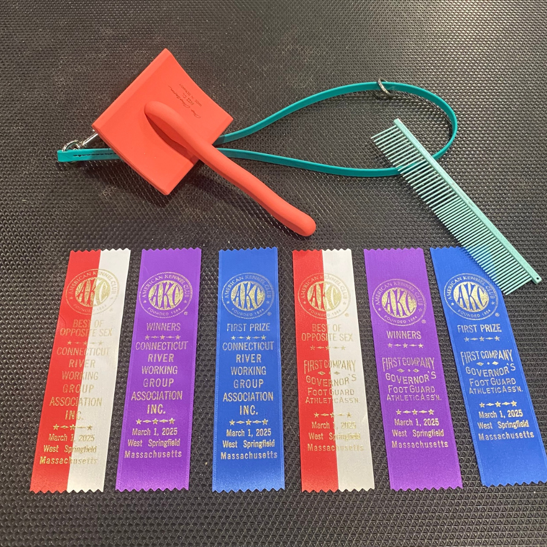 Zhanna’s first dog show ribbons earned with Brittani in Black Russian Terrier conformation competition.
