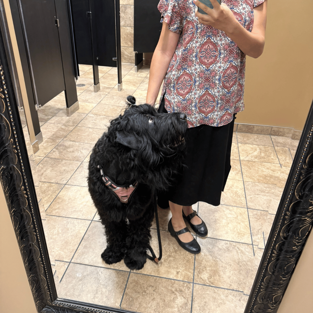 Zhanna walks attentively beside Brittani while working as her service dog.