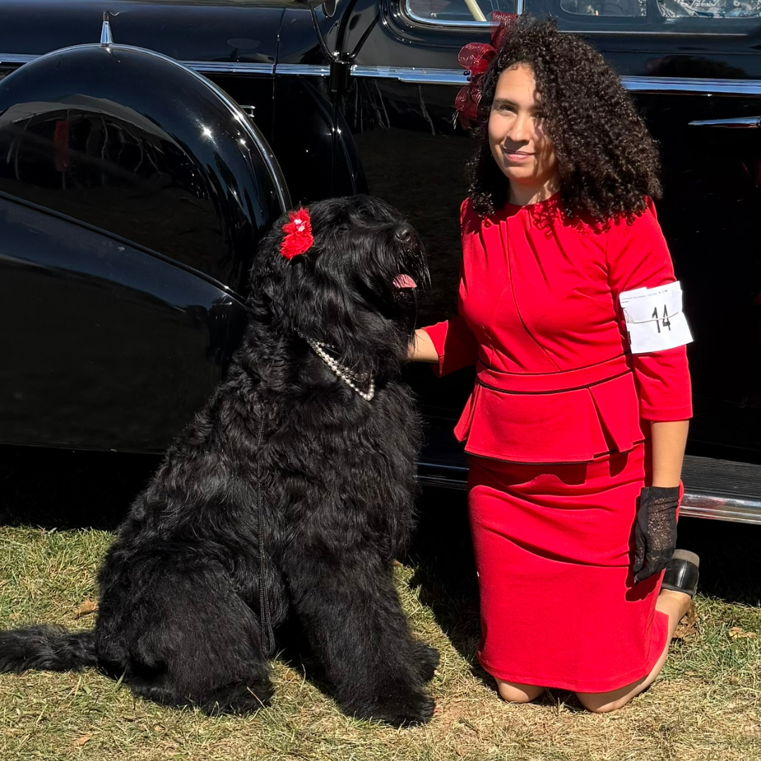 Brittani and Zhanna, a Black Russian Terrier, attending the historic Morris and Essex Kennel Club Dog Show.