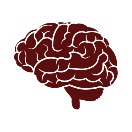Brain icon representing the Black Russian Terrier’s intelligence, trainability, and judgment