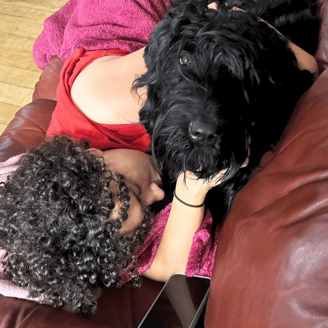 Zhanna, a Black Russian Terrier service dog, provides deep pressure therapy to Brittani.