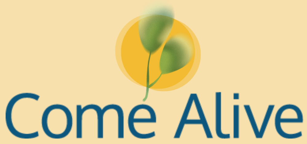 Header Logo