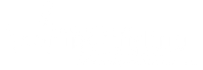 Partner logo 2