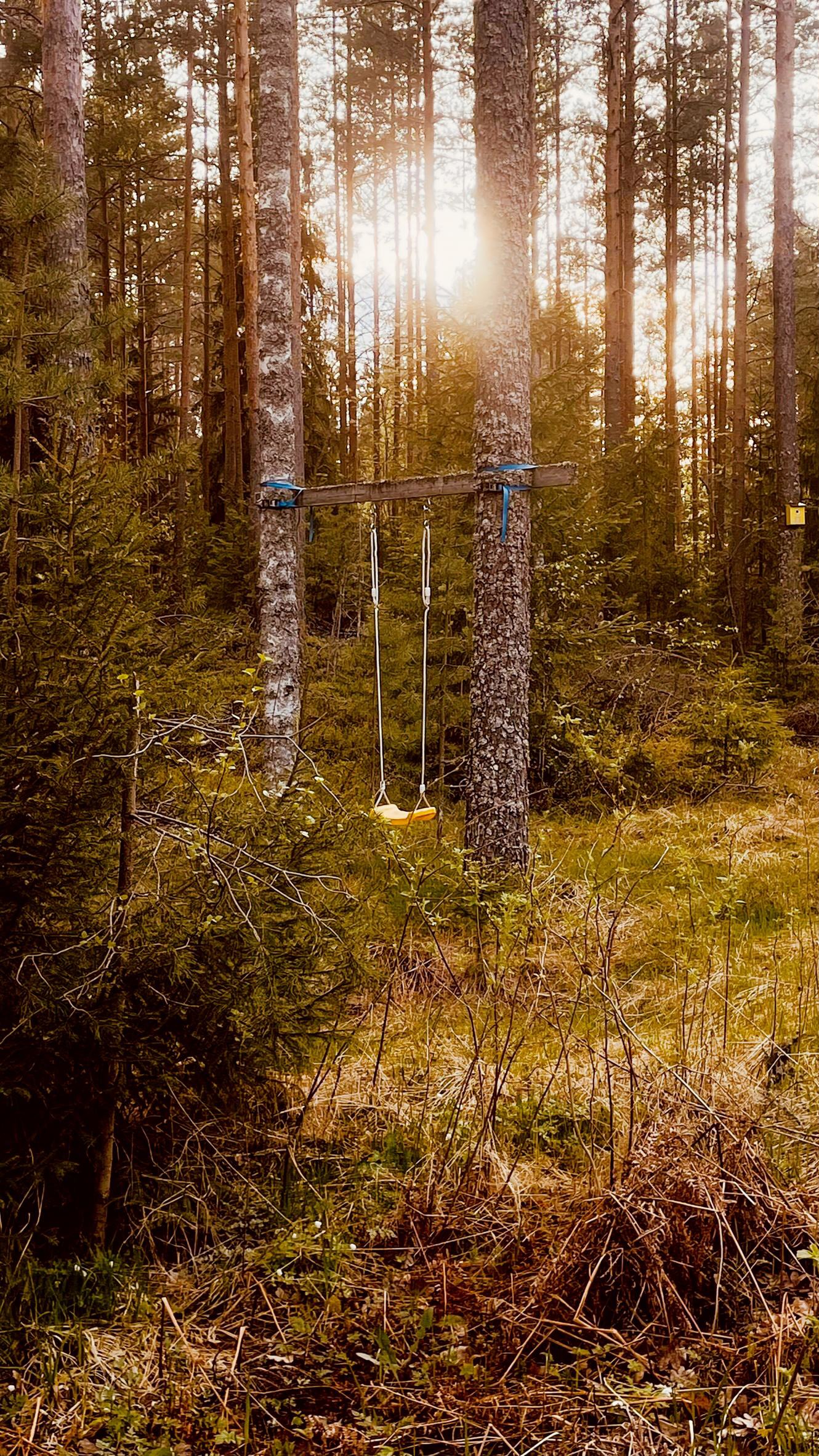 keinu metsässä