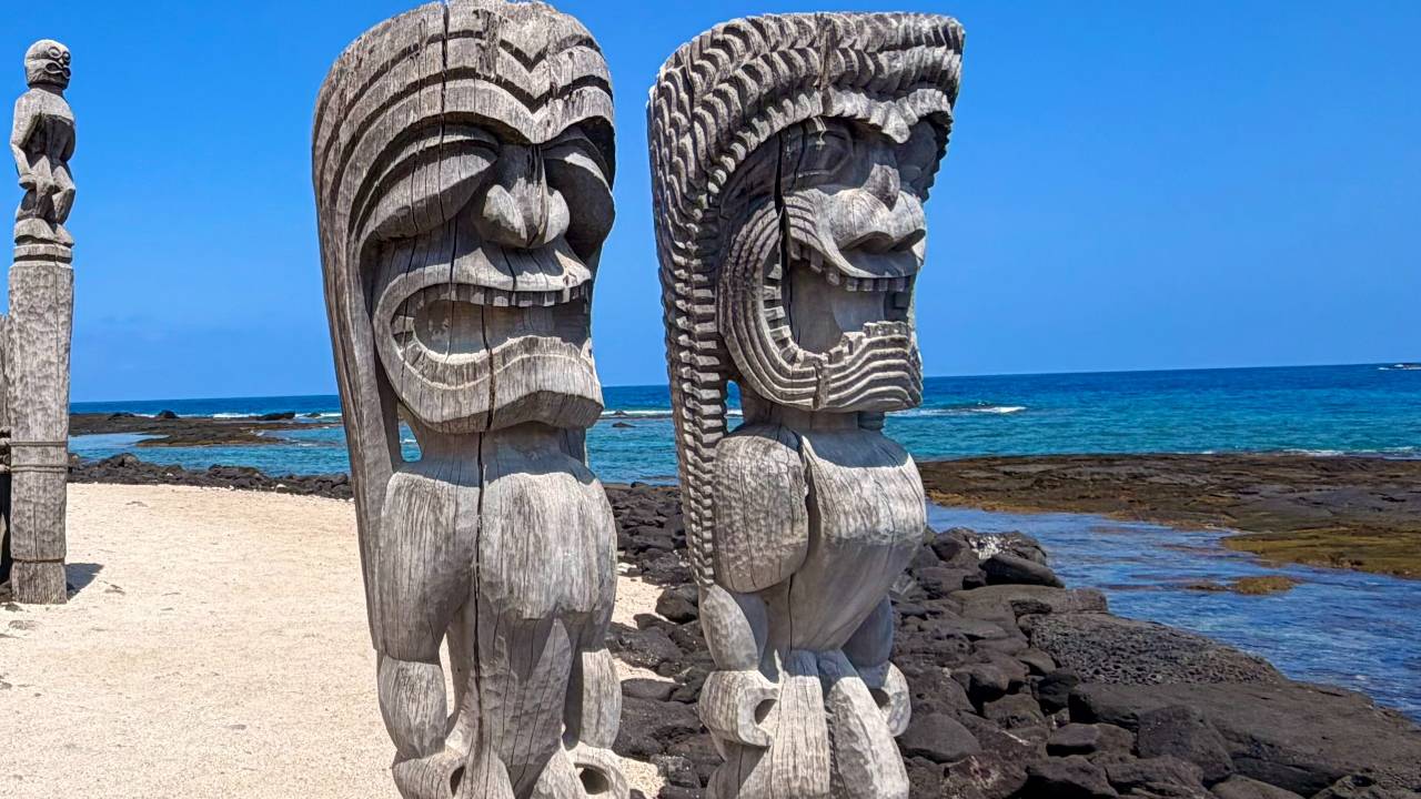 Mindfuless Practices for Forgiveness and Inner Freedom