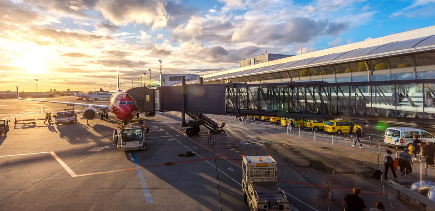 Tier photo