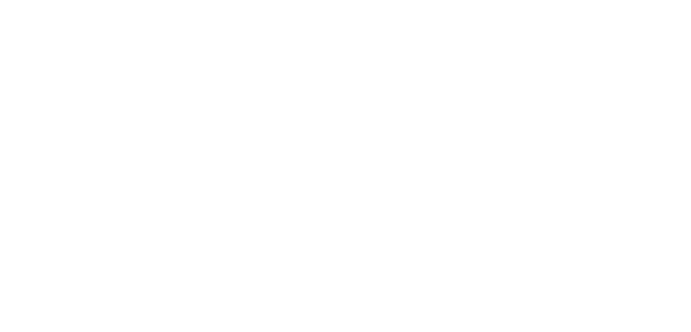 BRUNEEL CEO Advisors