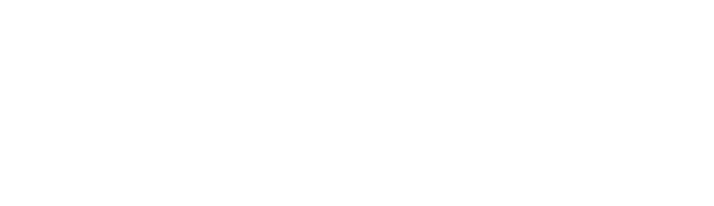BRUNEEL CEO Advisors