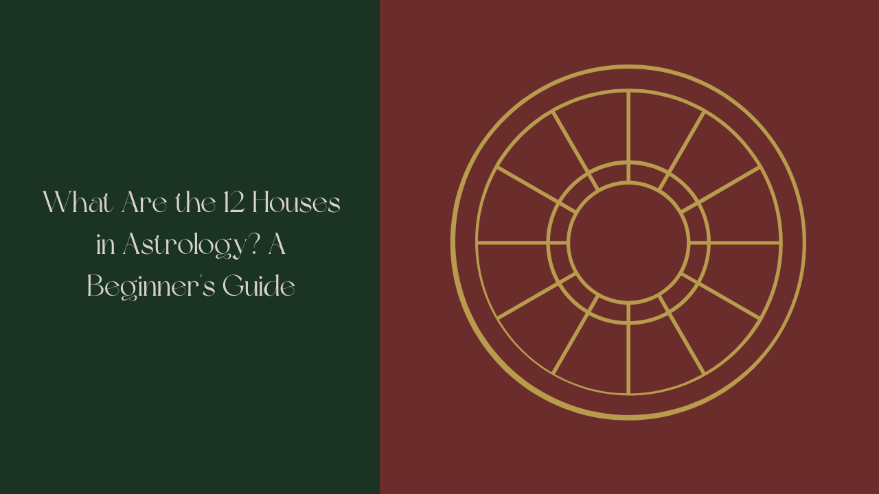 Forest Moss green background with Vintage Linen text reading "What Are the 12 Houses in Astrology? A Beginner's Guide" Burgundy square on the right with an Antique Gold blank astrology wheel.  