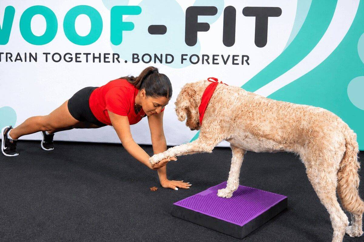 Woman doing a plank exercise while rewarding her Goldendoodle with a treat during a Woof-Fit workout