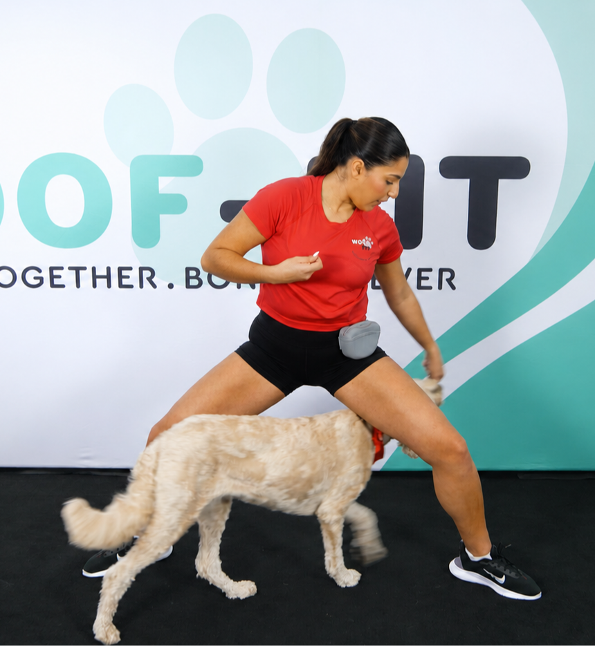 Woman doing a sumo-squat exercise while rewarding her Goldendoodle for weaving through her legs with a treat during a Woof-Fit workout