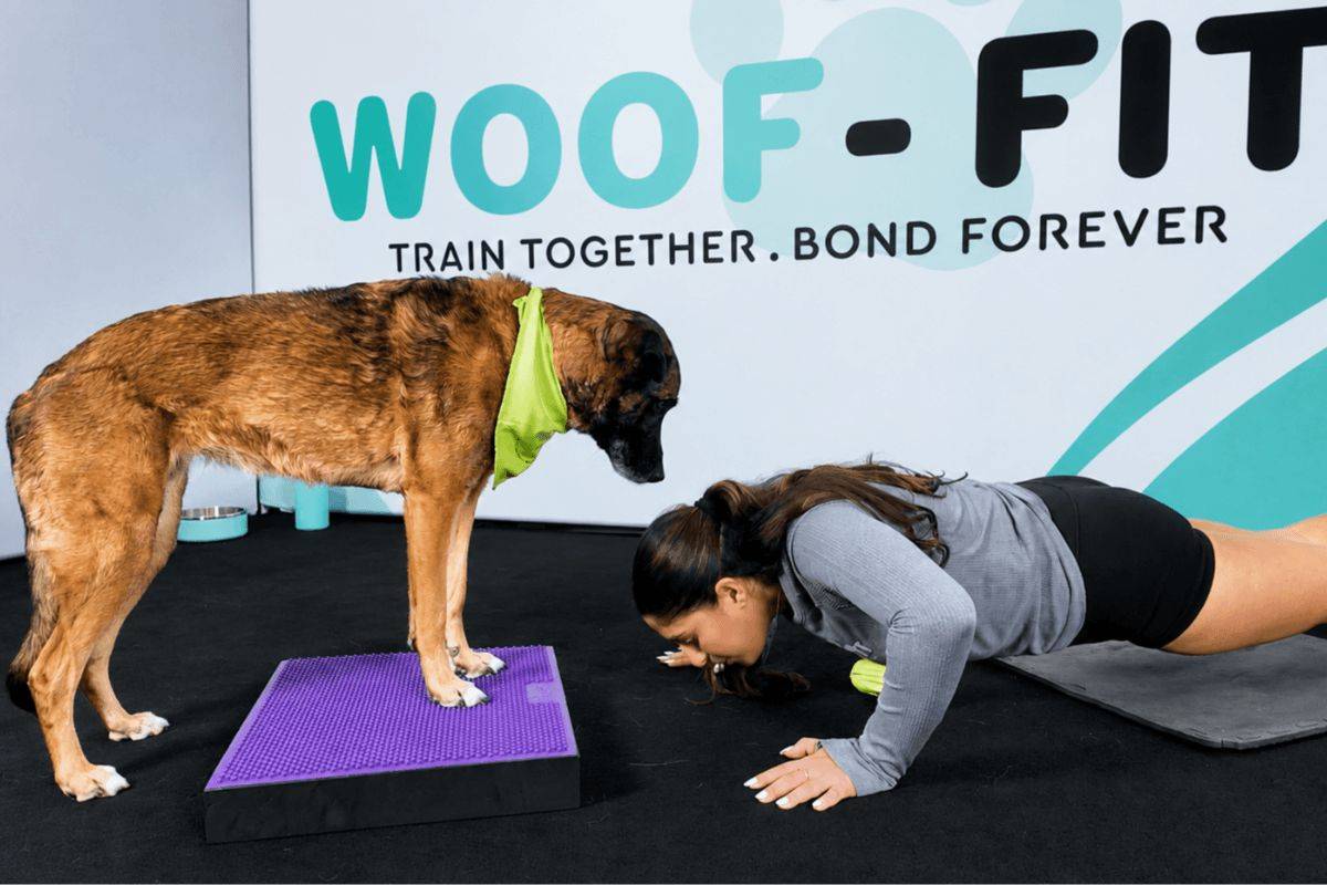 Woman doing a push-up while her dog stands on a raised platform during the Flex & Focus workout