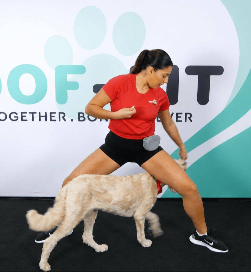 Woman doing a sumo-squat exercise while rewarding her Goldendoodle for weaving through her legs with a treat during a Woof-Fit workout