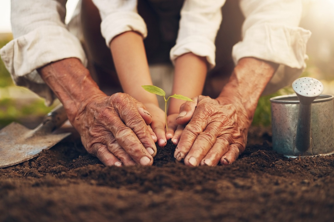 An older pair of hands guiding a child's hands as they press soil around a planting