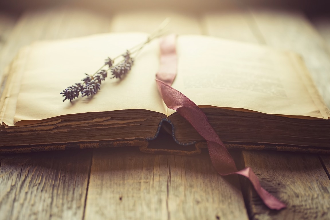 A sprig of dried lavender resting in the pages of an open old book on a timber table