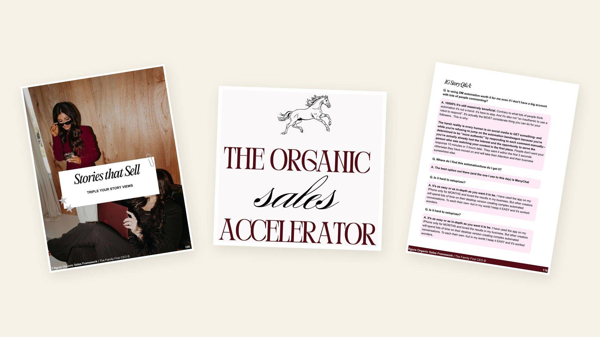 The Organic Sales Accelerator workbook mockup