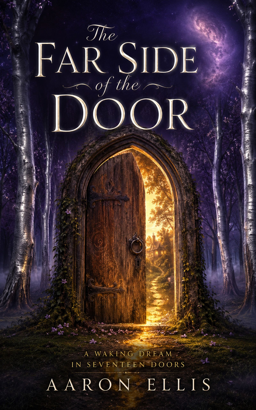 The Far Side of the Door by Aaron Ellis