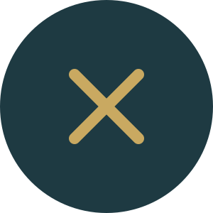X (Twitter)