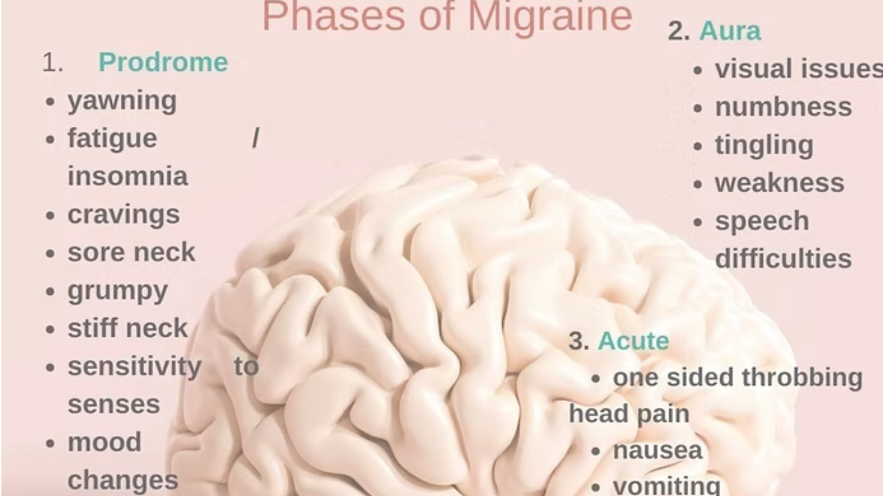 Prodromal phase of migraine