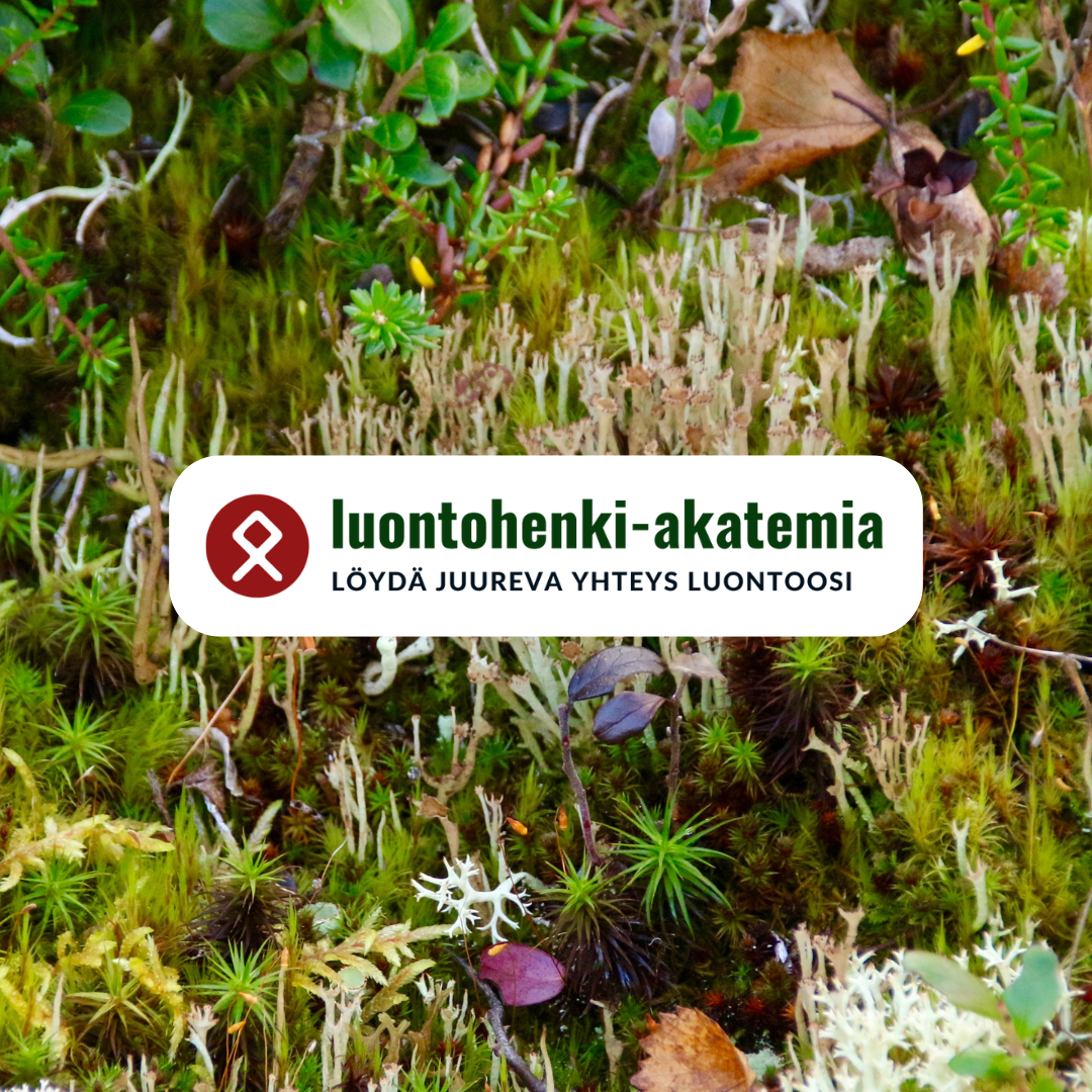 Header Logo