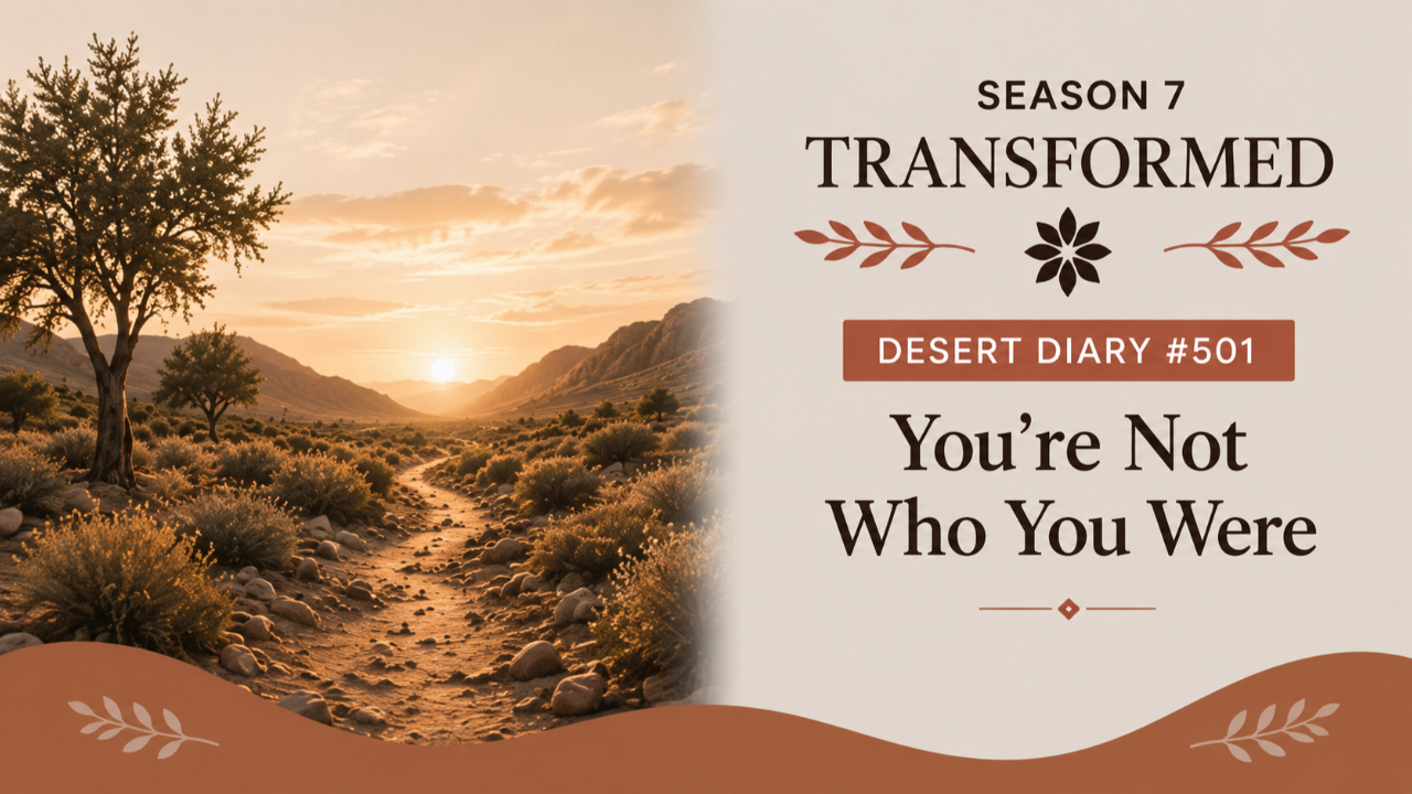 Season 7 Transformed Desert Diary 501 — You're Not Who You Were