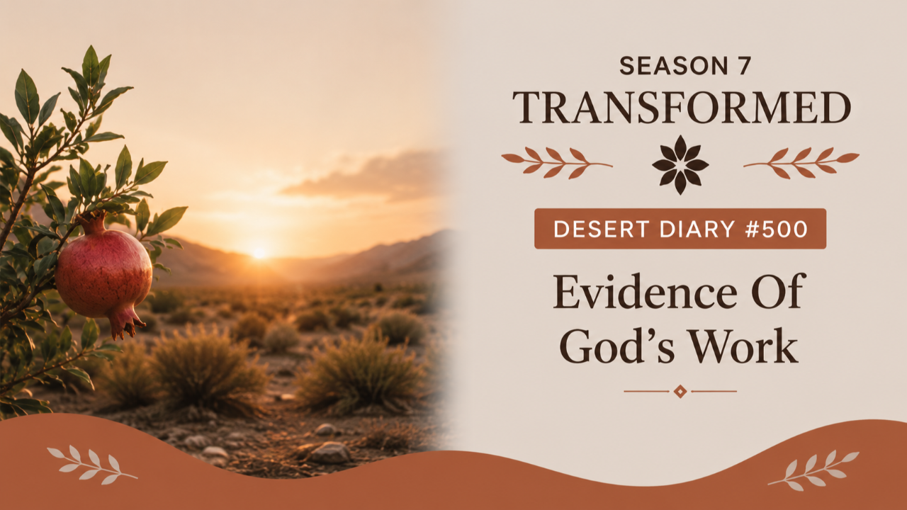 Season 7 Transformed Desert Diary 500 — Evidence Of God's Work