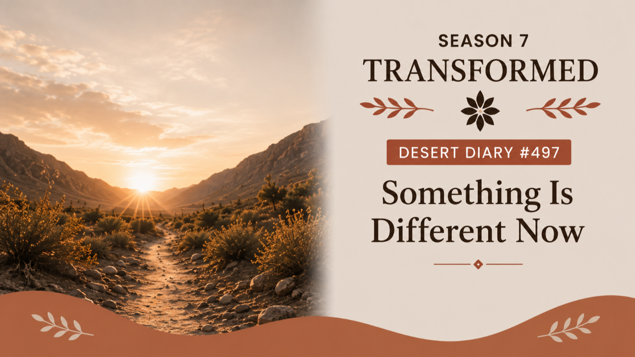 Season 7 Transformed Desert Diary 497 — Something Is Different Now