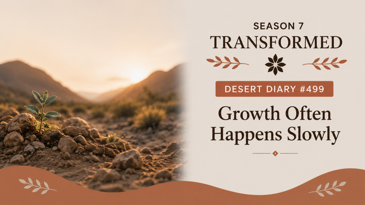 Season 7 Transformed Desert Diary 499 — Growth Often Happens Slowly