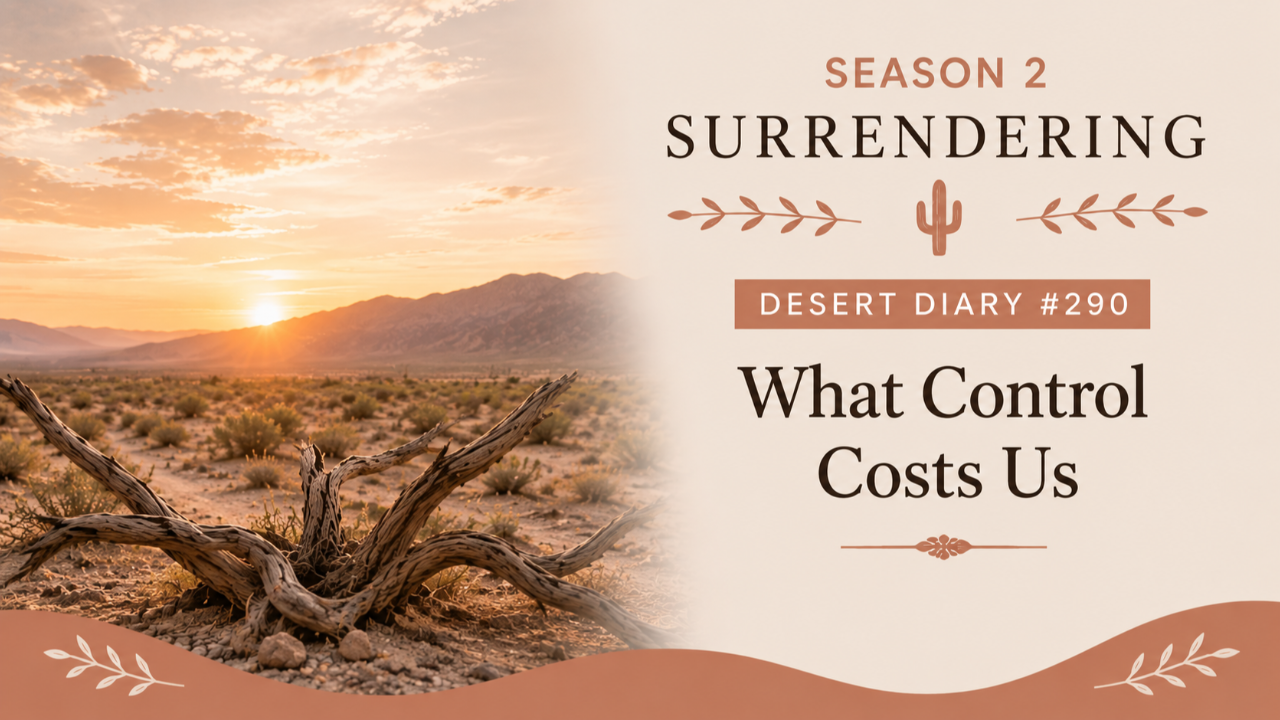Season 2 Surrendering Desert Diary 290 — What Control Costs Us