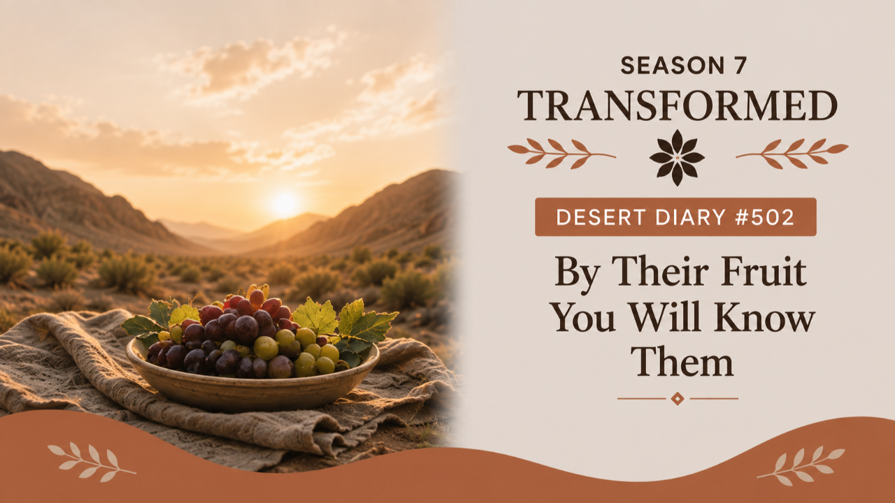 Season 7 Transformed Desert Diary 502 — By Their Fruit You Will Know Them