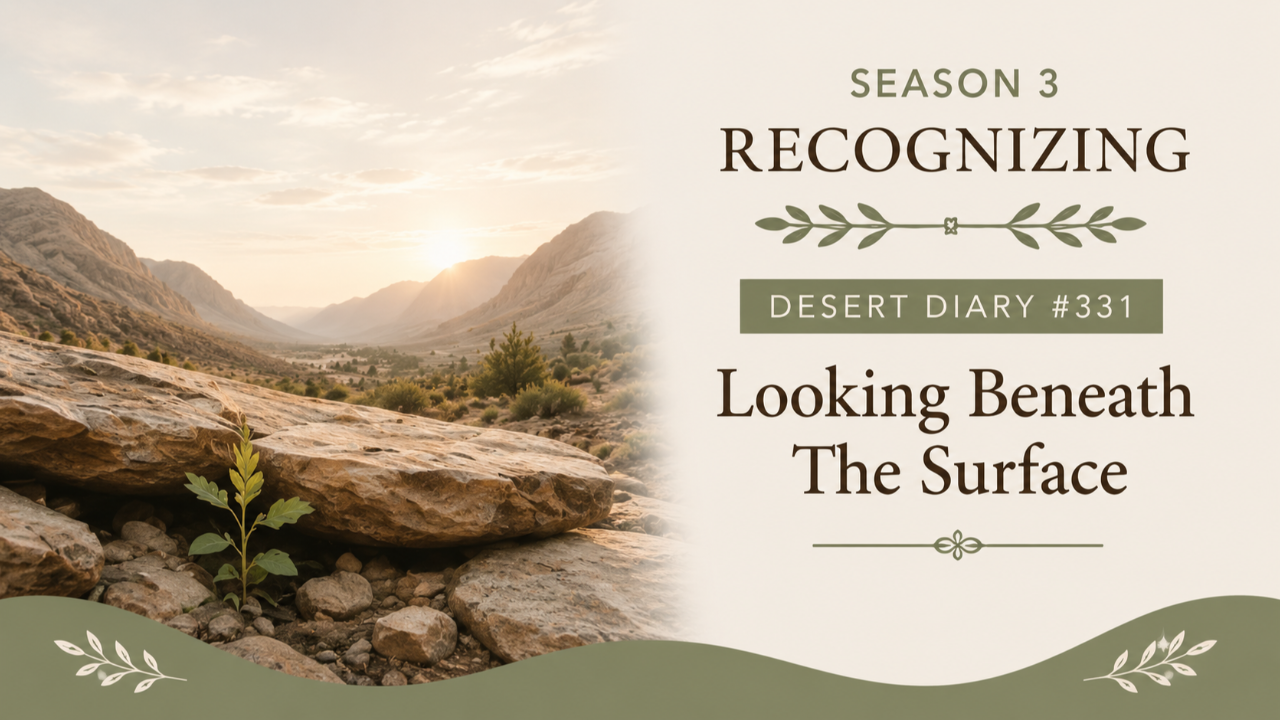 Season 3 Recognizing Desert Diary 331 — Looking Beneath The Surface