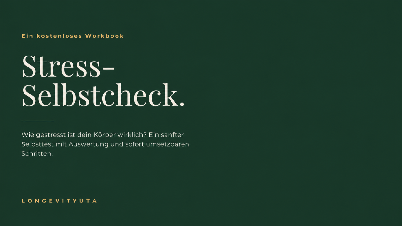 Stress - Selbstcheck Workbook