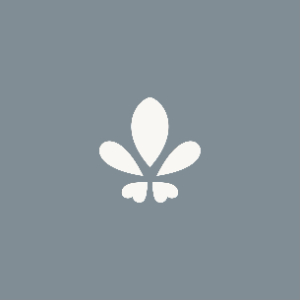 Footer Logo