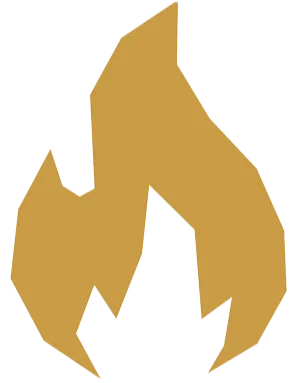 Footer Logo