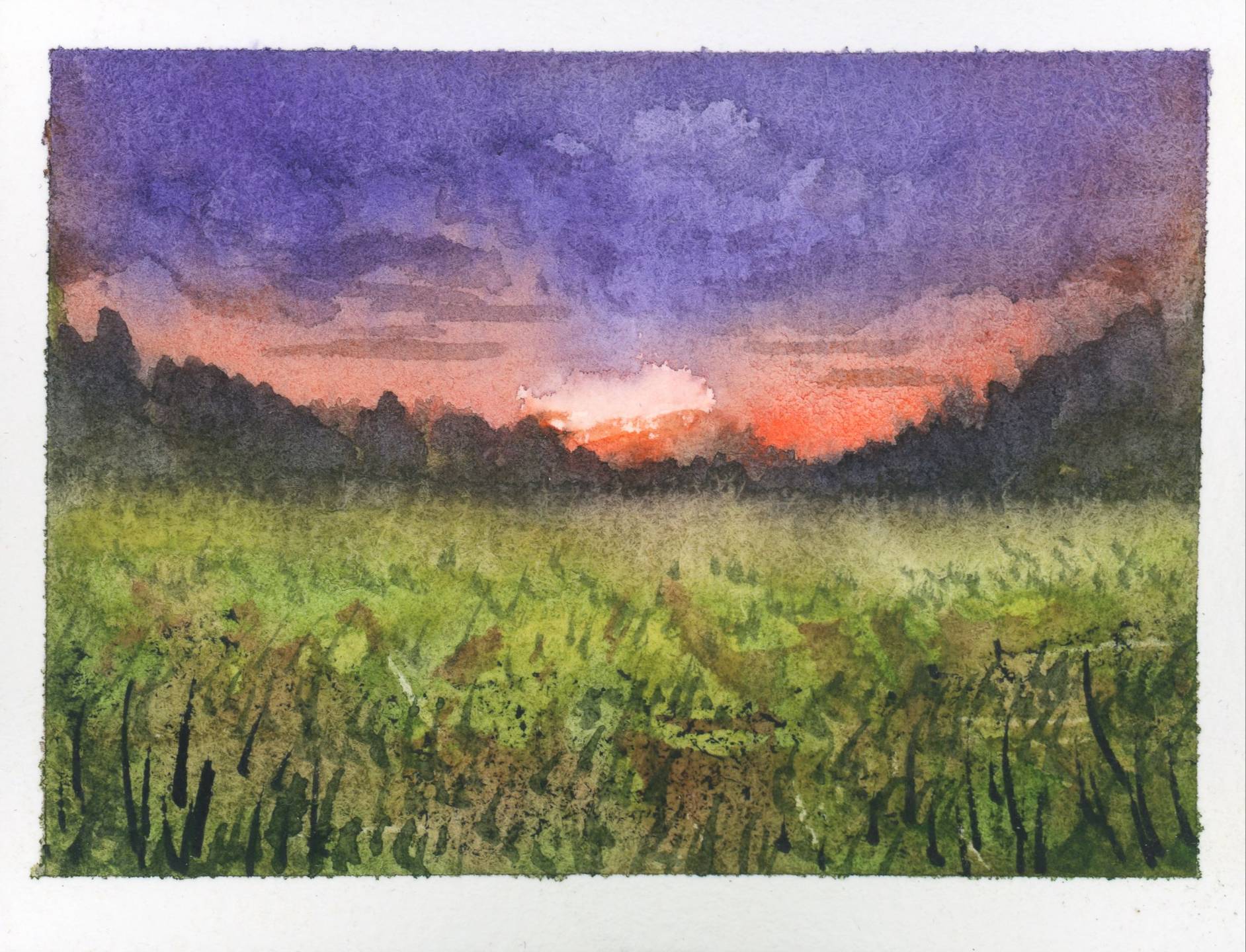 Purple and coral sunset over a green field, a watercolor project in Coming Home.