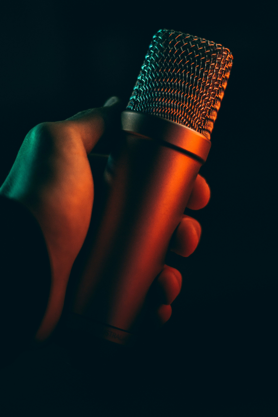 Voice guide microphone