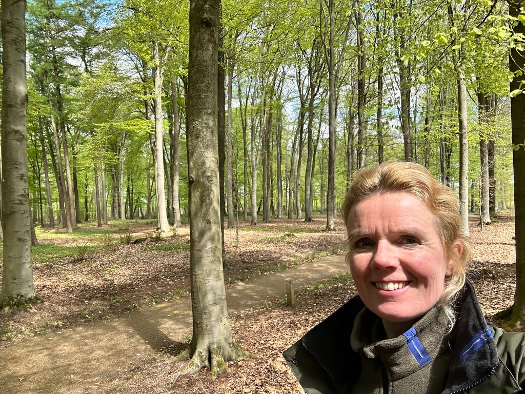 Liane in het bos