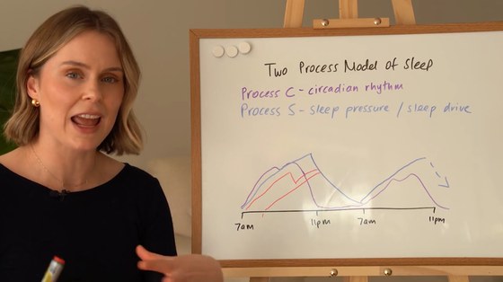 Dr Amelia Scott teaching the two-process model at a whiteboard